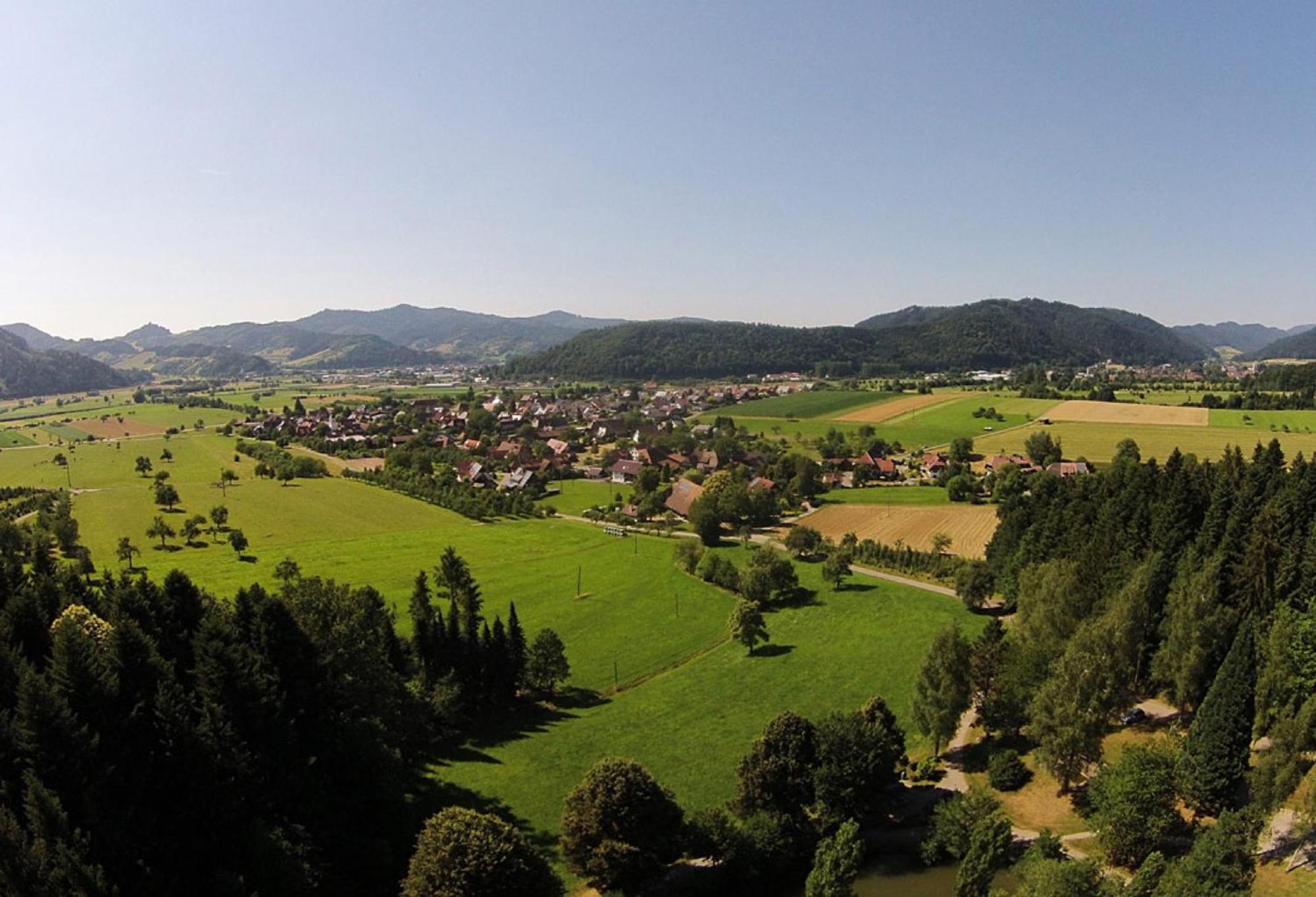 Haus Irmgard Apartment Zell am Harmersbach Bagian luar foto